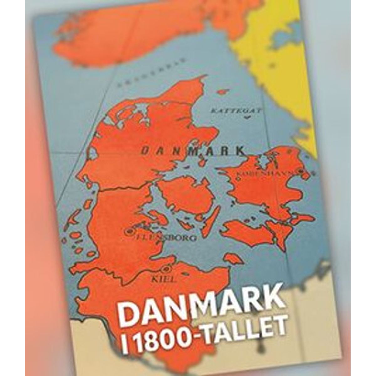 Danmark I 1800-tallet - Katrine Charlotte Busk - Bog