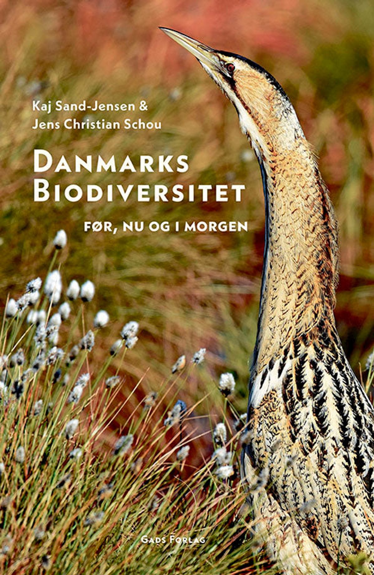 Danmarks biodiversitet