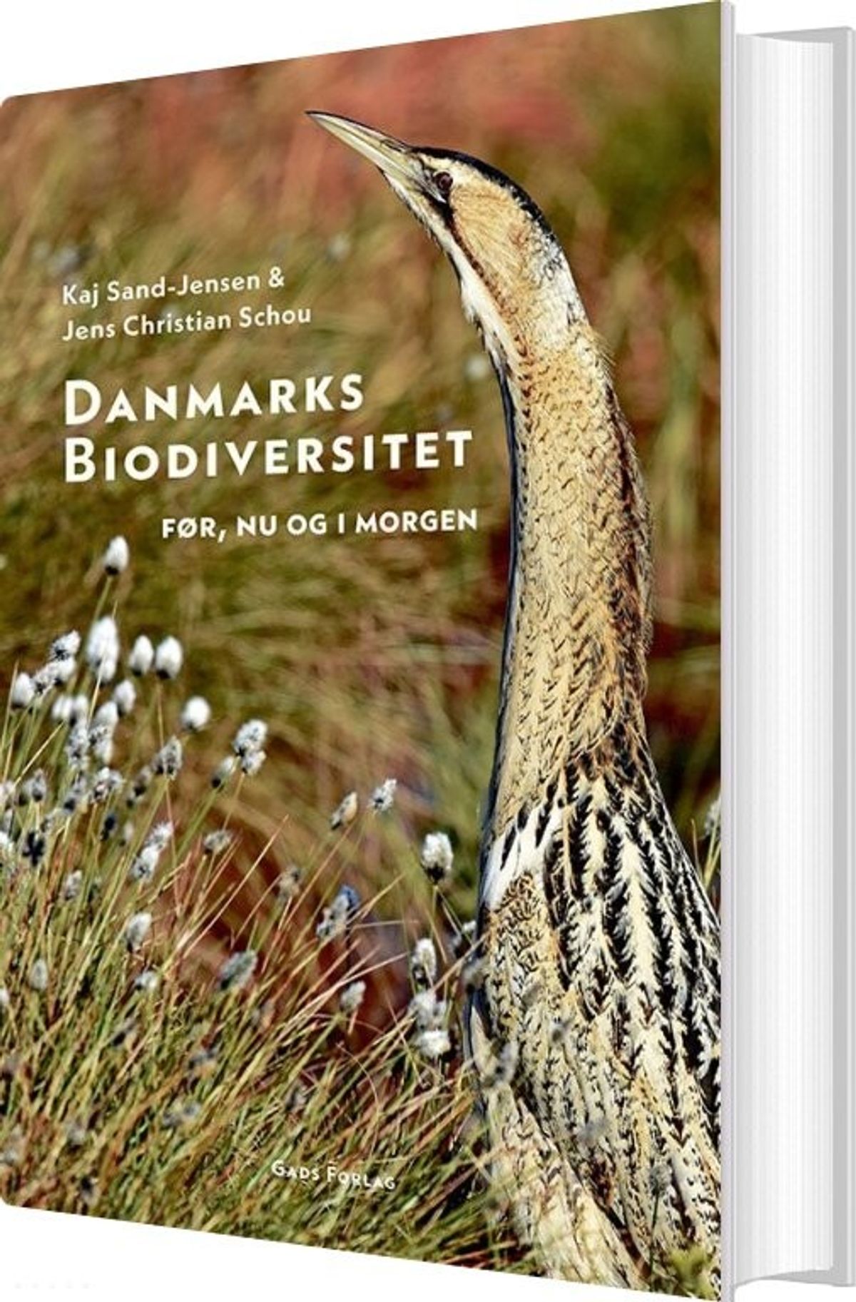 Danmarks Biodiversitet - Kaj Sand-jensen - Bog