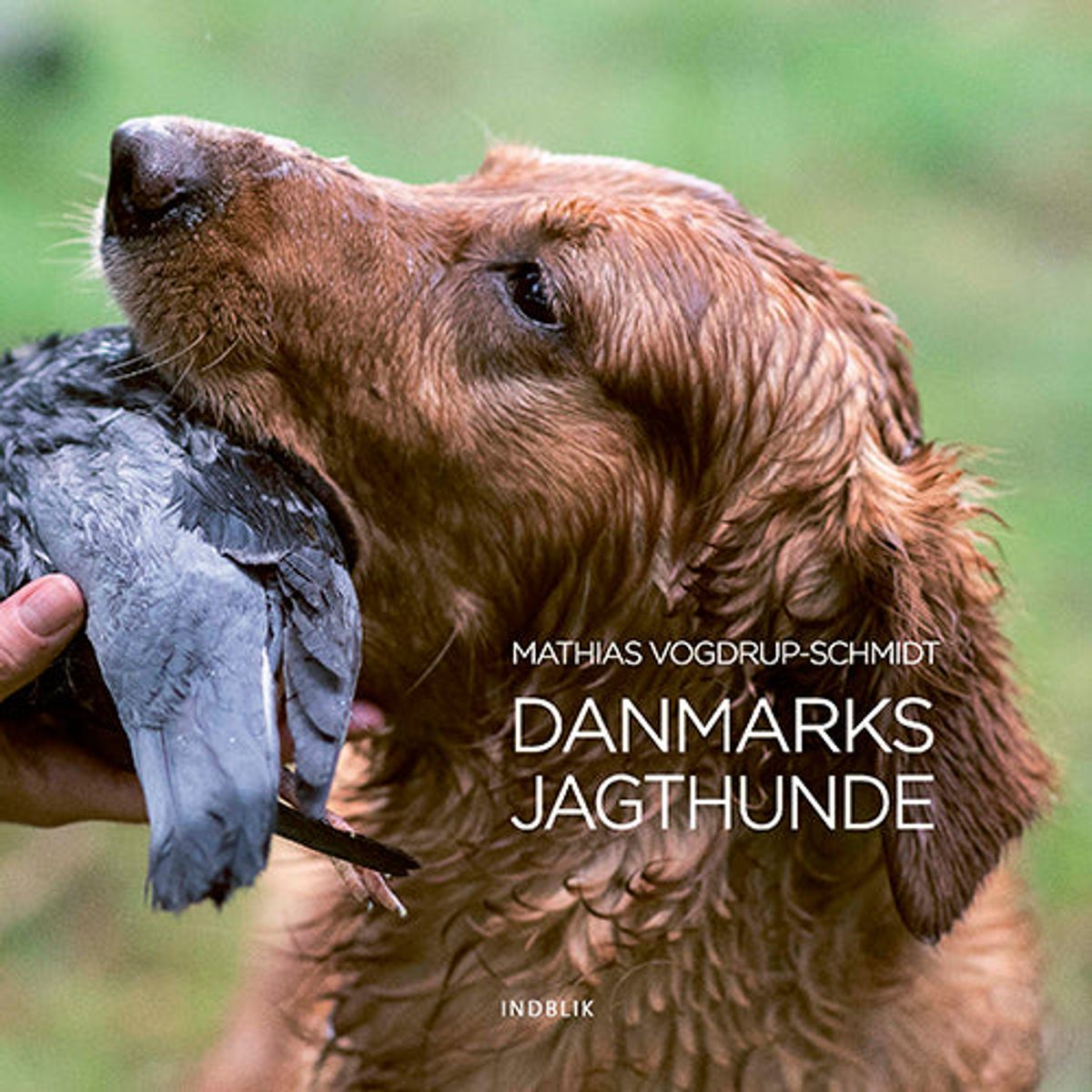 Danmarks jagthunde