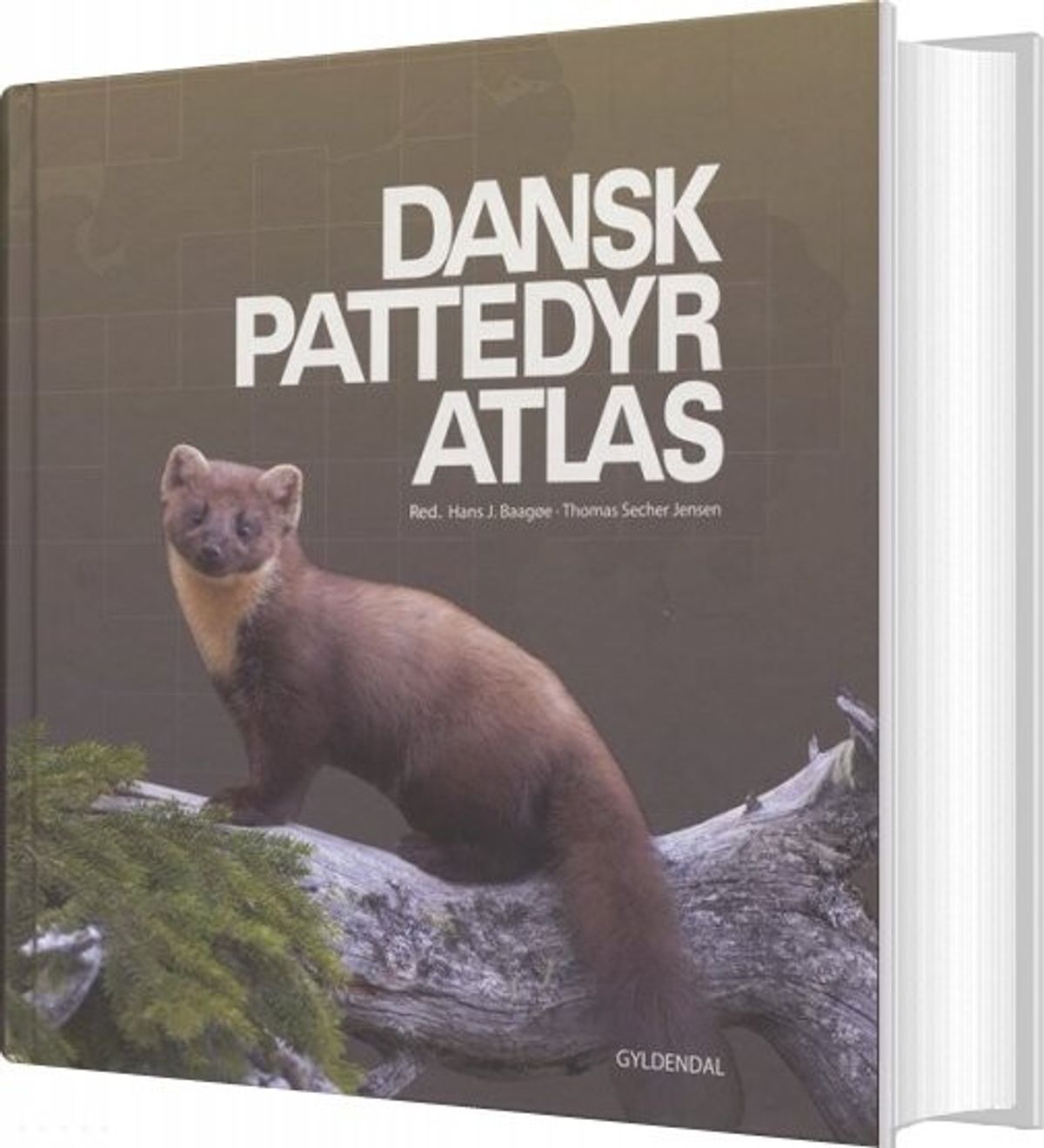 Dansk Pattedyratlas - Hans Baagøe - Bog