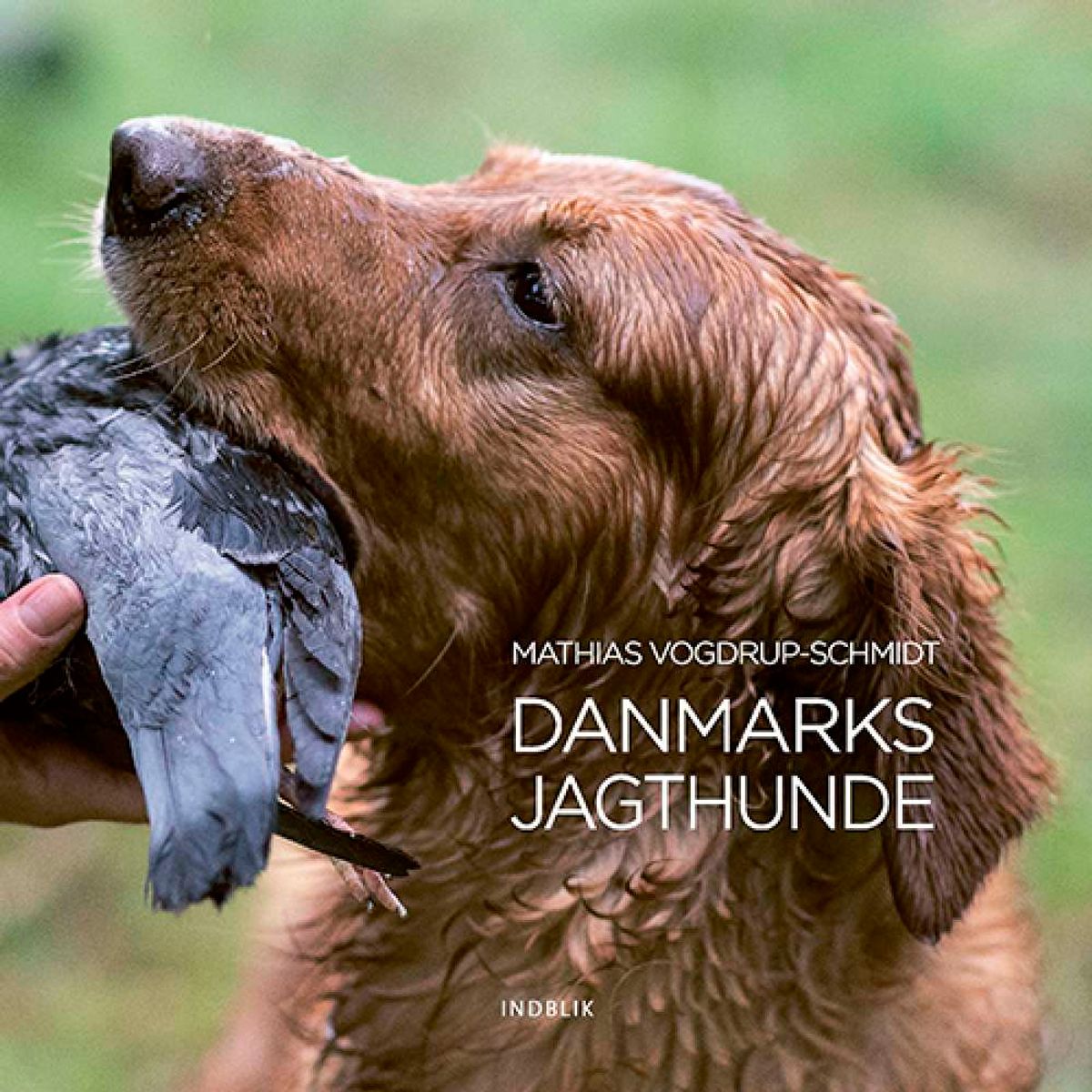 Danske jagthunde Mathias Vogdrup-Schmidt