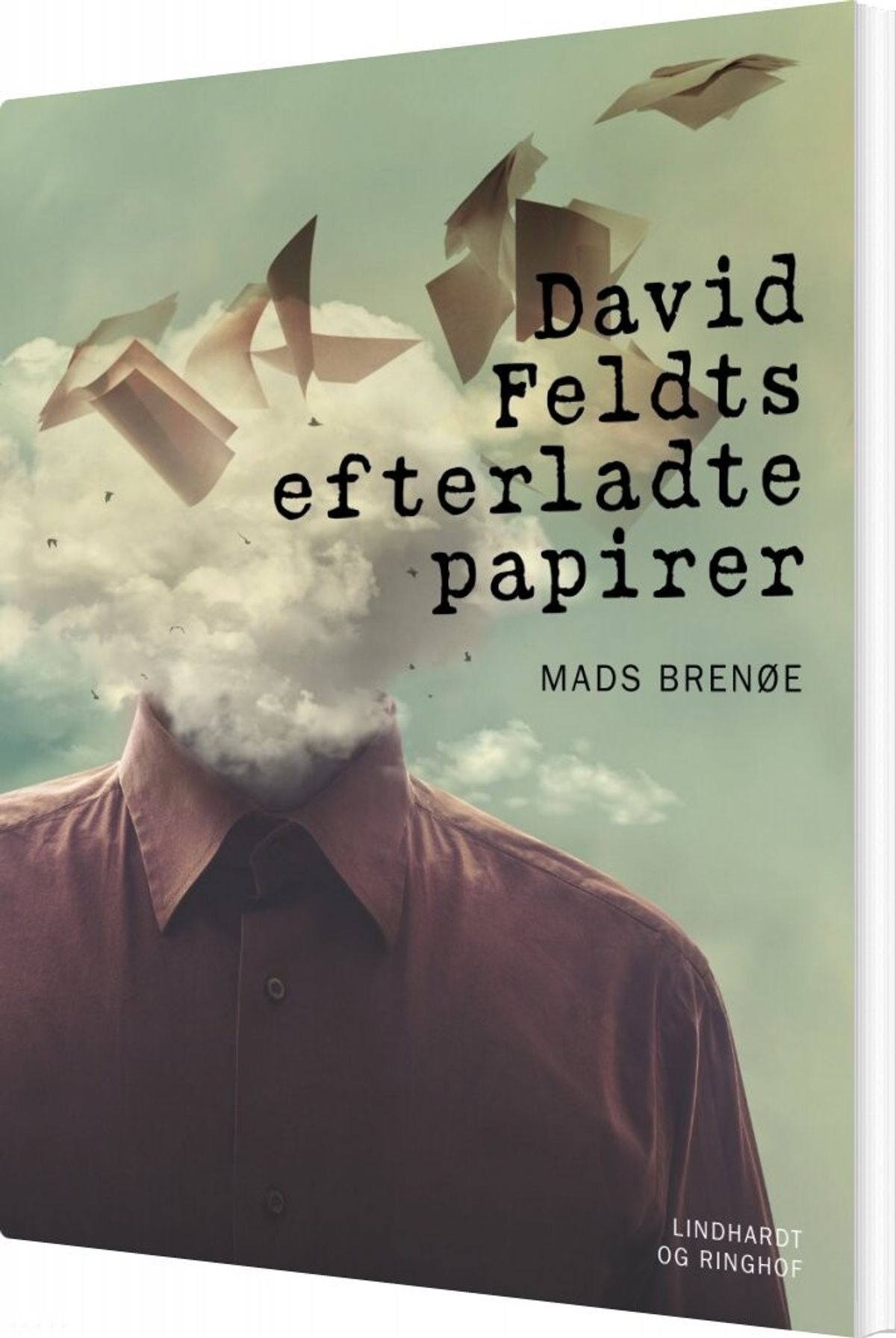 David Feldts Efterladte Papirer - Mads Brenøe - Bog