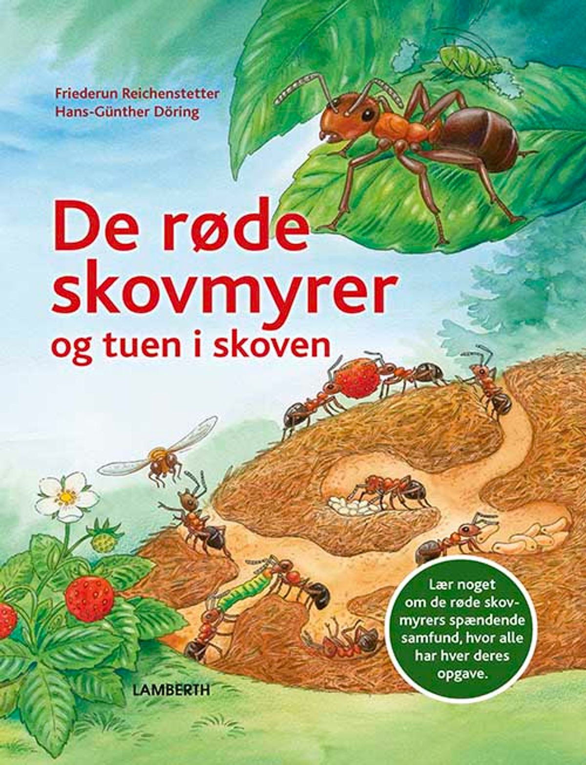 De røde skovmyrer og tuen i skoven