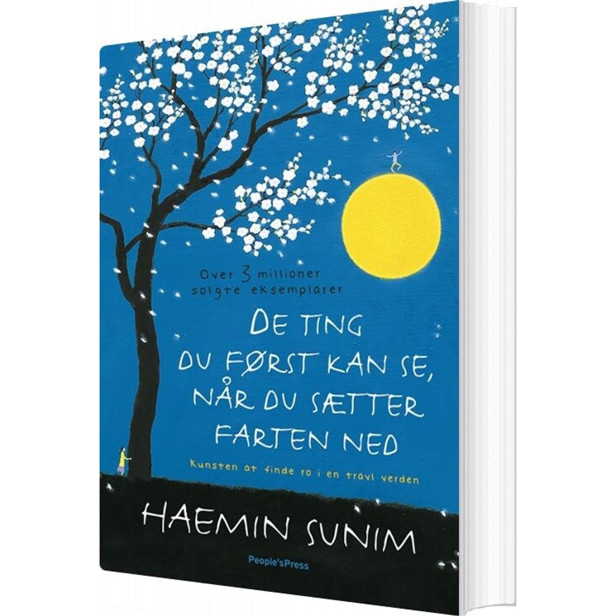 De Ting Du Kun Kan Se, Når Du Sætter Farten Ned - Haemin Sunim - Bog