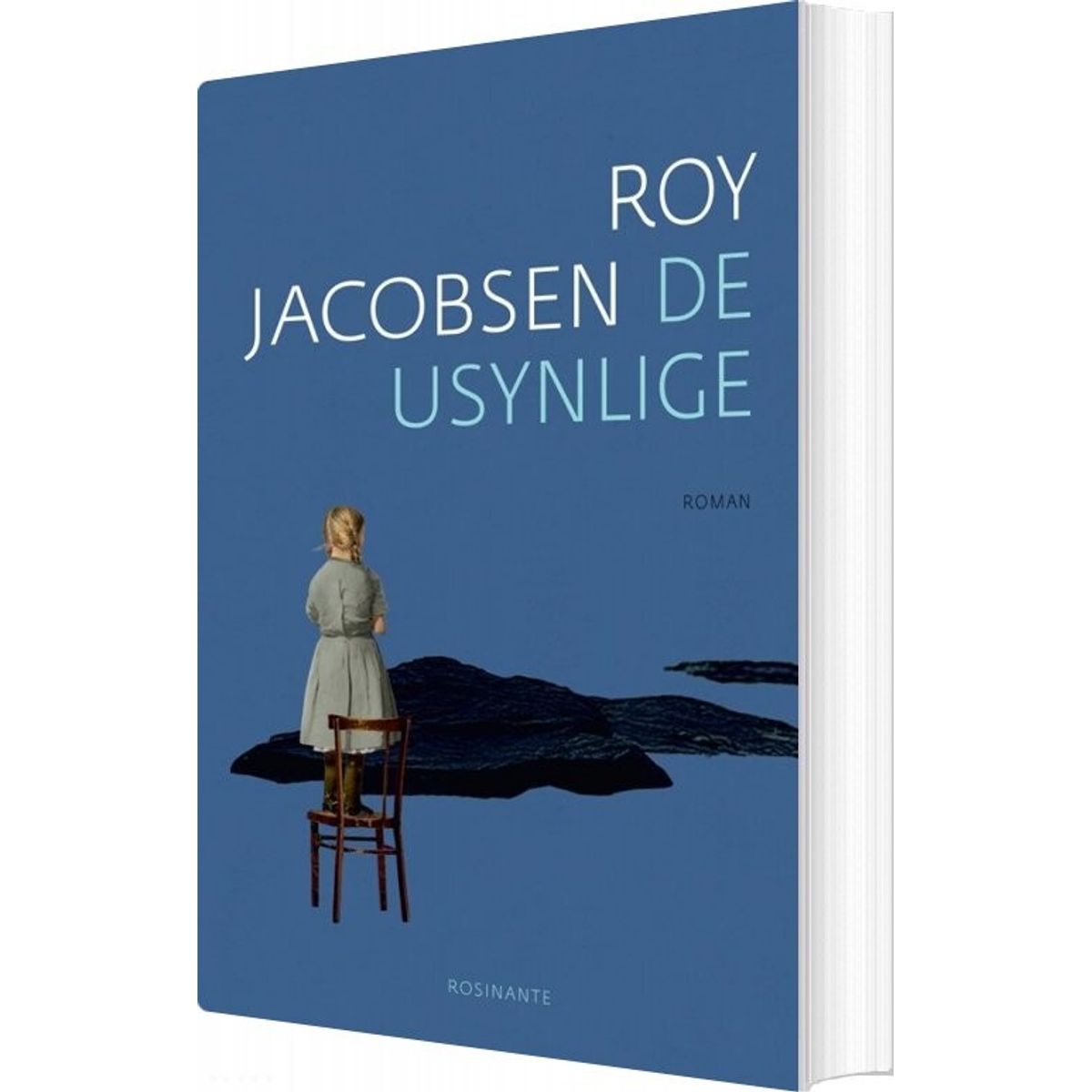 De Usynlige - Roy Jacobsen - Bog