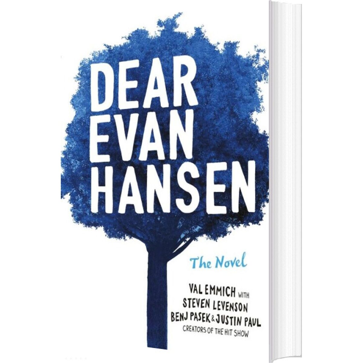 Dear Evan Hansen - Val Emmich - English Book