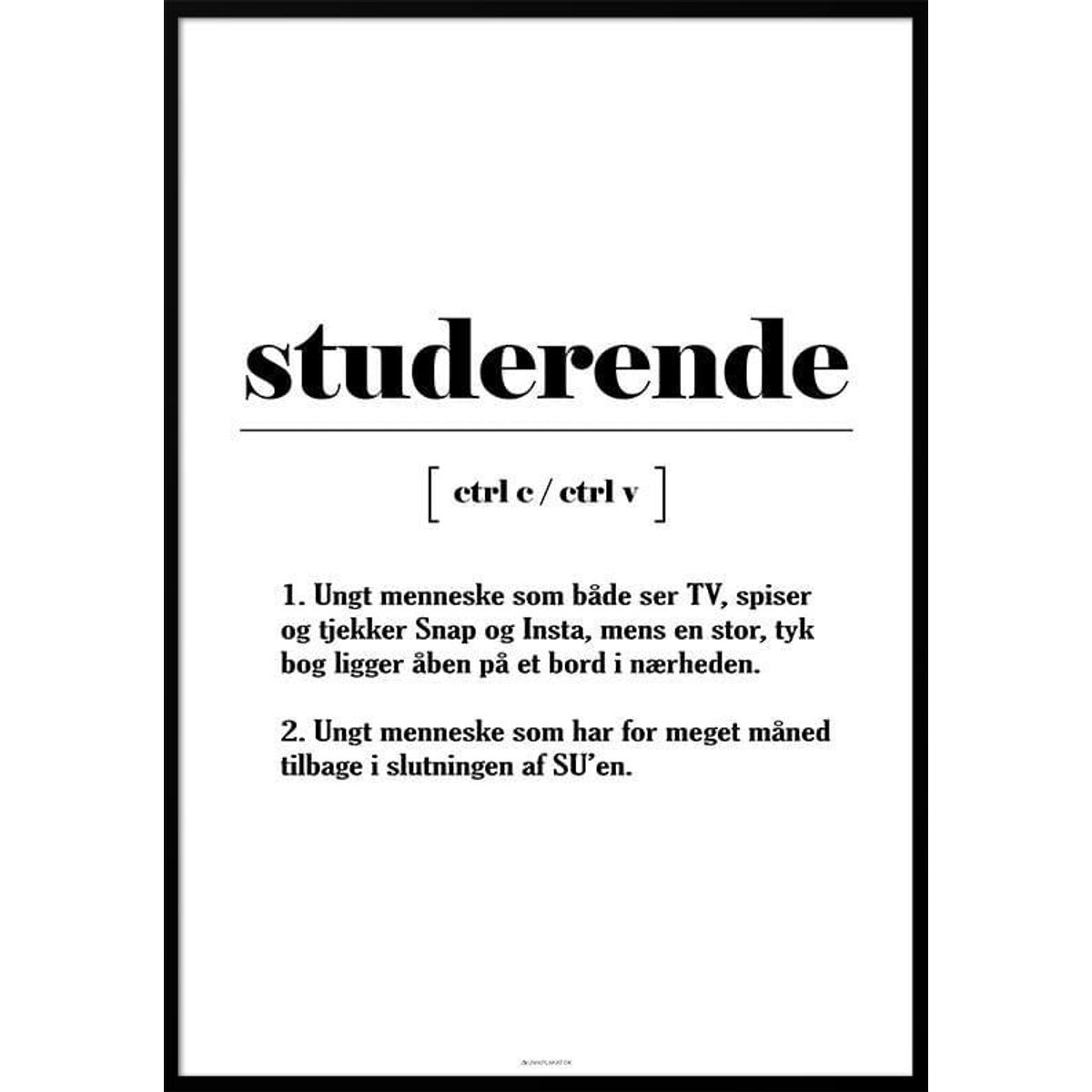 Definitionsplakat - studerende