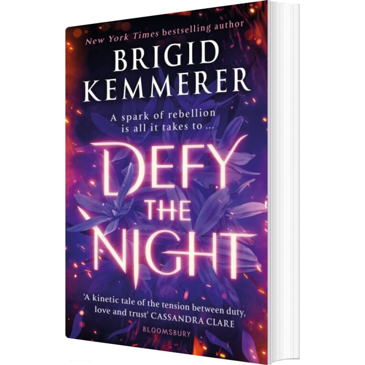 Defy The Night - Brigid Kemmerer - English Book