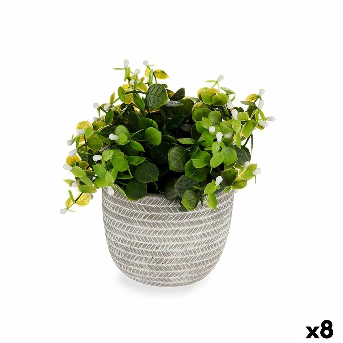 Dekorativ plante Cvetlice Plastik 20 x 20,5 x 20 cm (8 enheder)