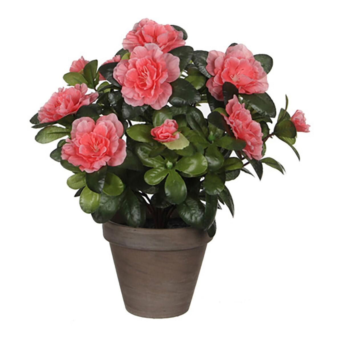 Dekorativ plante Mica Decorations 11,5 x 27 x 20 cm