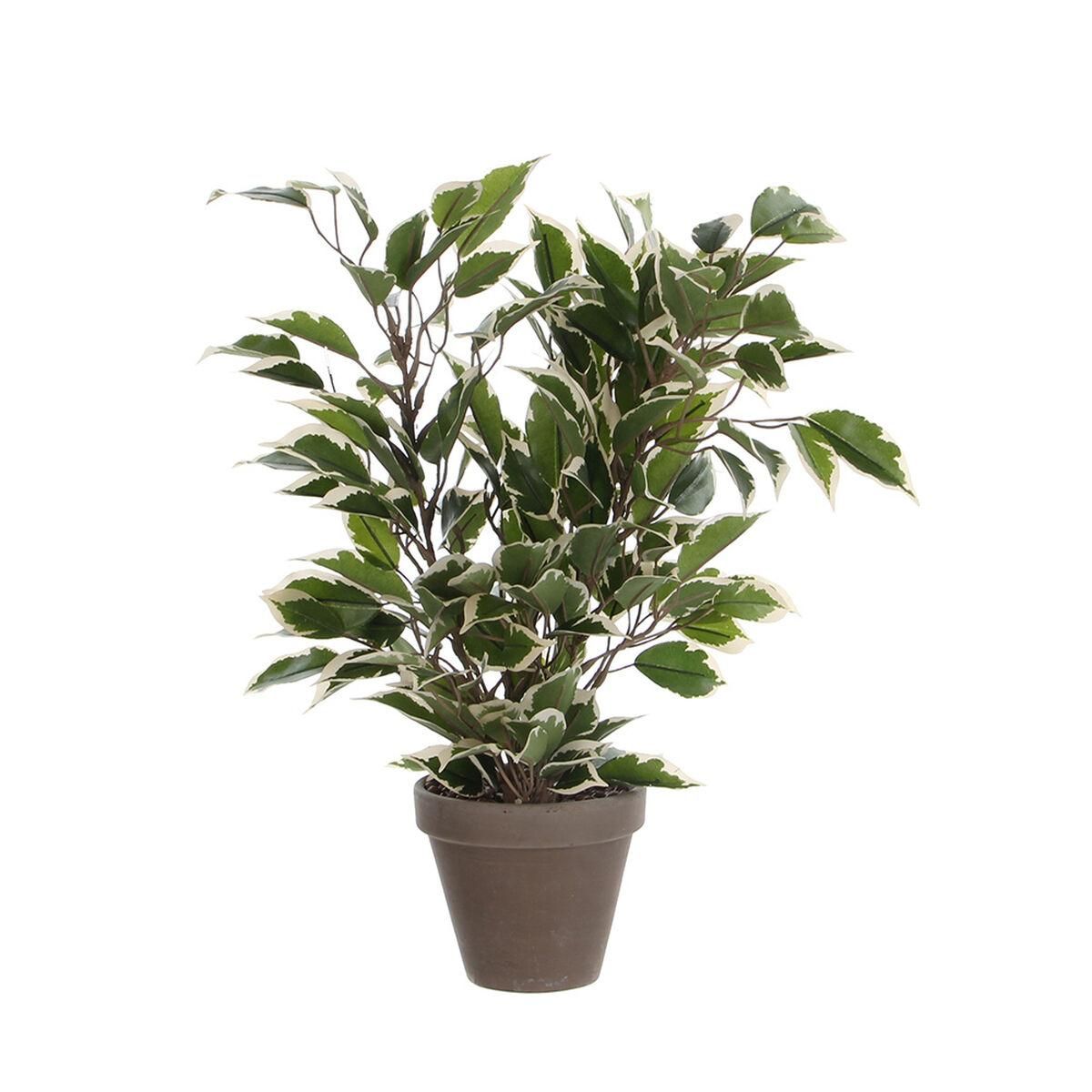 Dekorativ plante Mica Decorations 4 x 11,5 cm Keramik PVC Figen