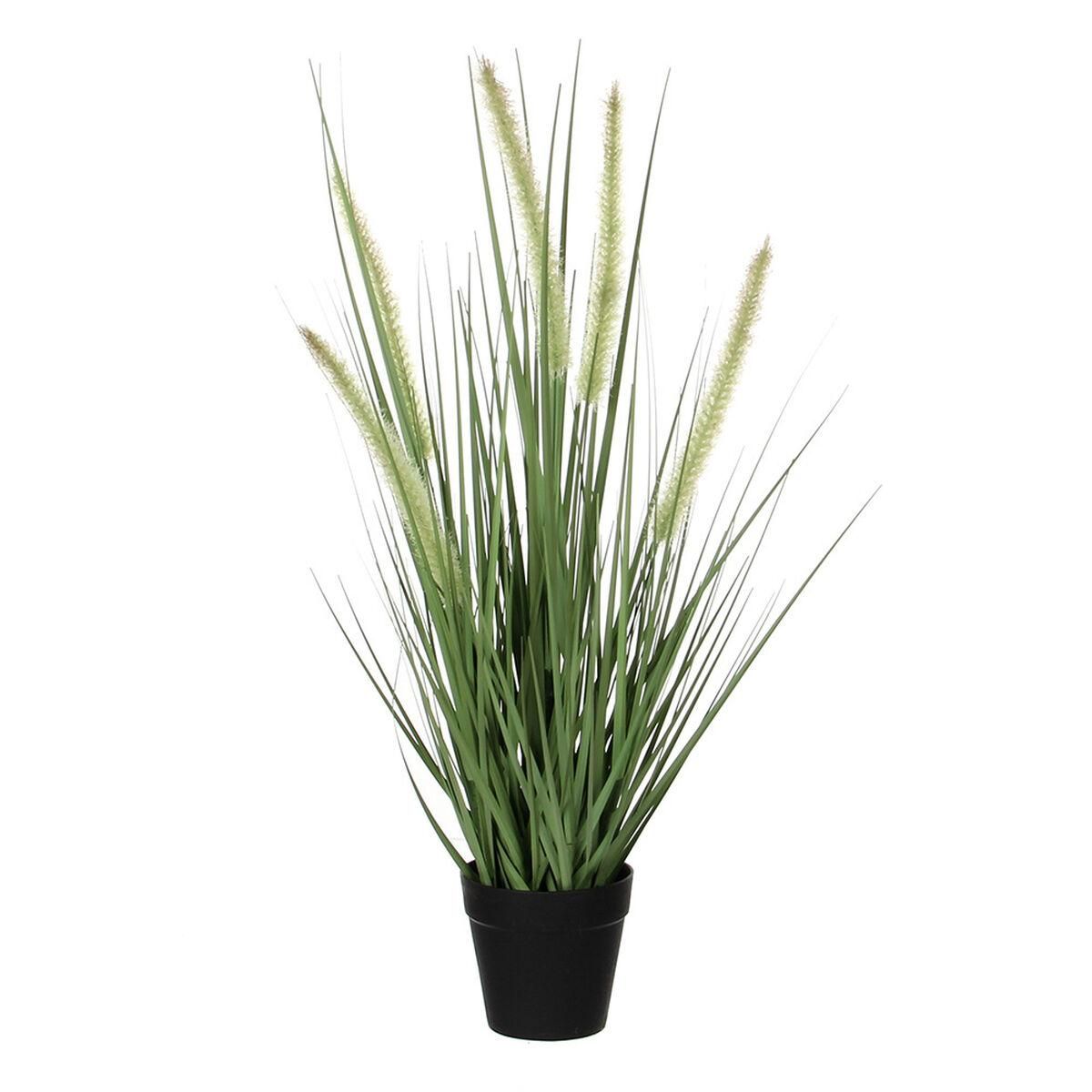 Dekorativ plante Mica Decorations Dogtail PVC