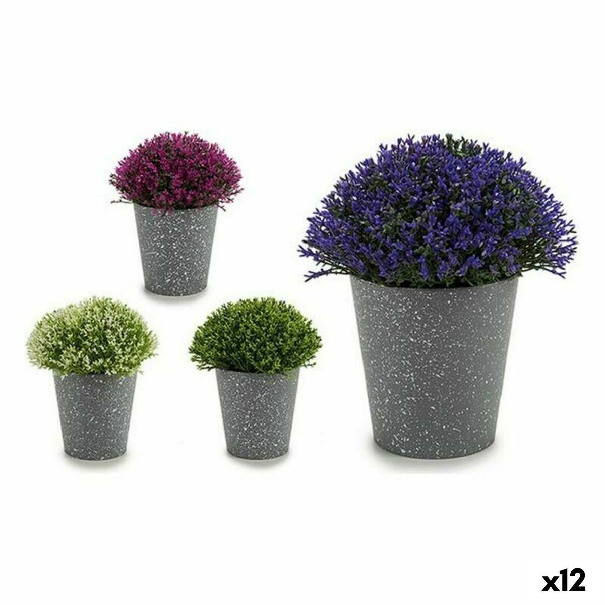 Dekorativ plante Plastik 14 x 15 x 14 cm (12 enheder)