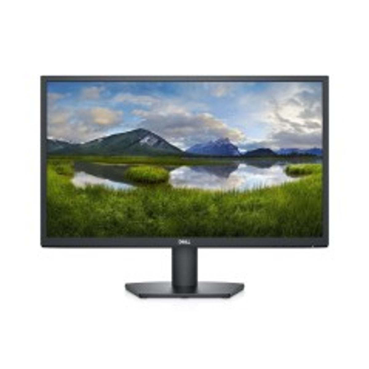 Dell 24 Monitor - SE2422H- 60.5cm