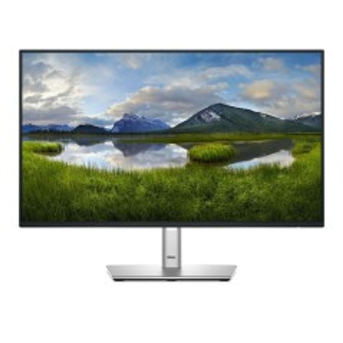 Dell Dell/P2425HE/23,8/IPS/FHD/100H