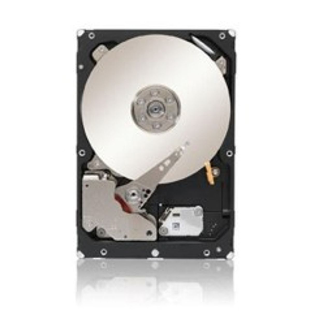 Dell HD 300G SAS6 10 2.5 W-SIR E/C