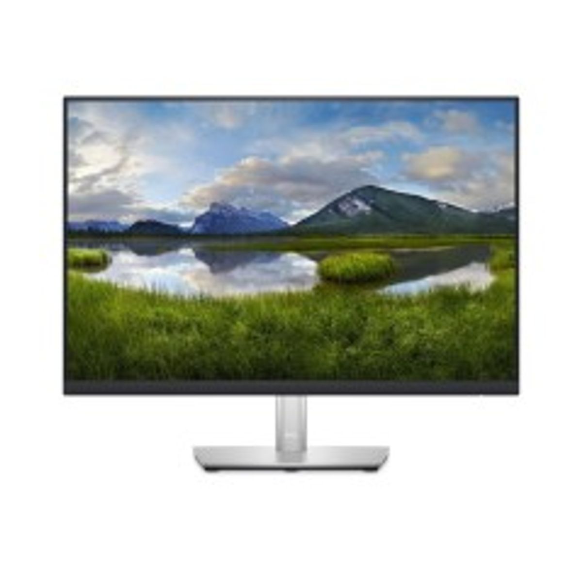 Dell P2423 - 61cm 24"