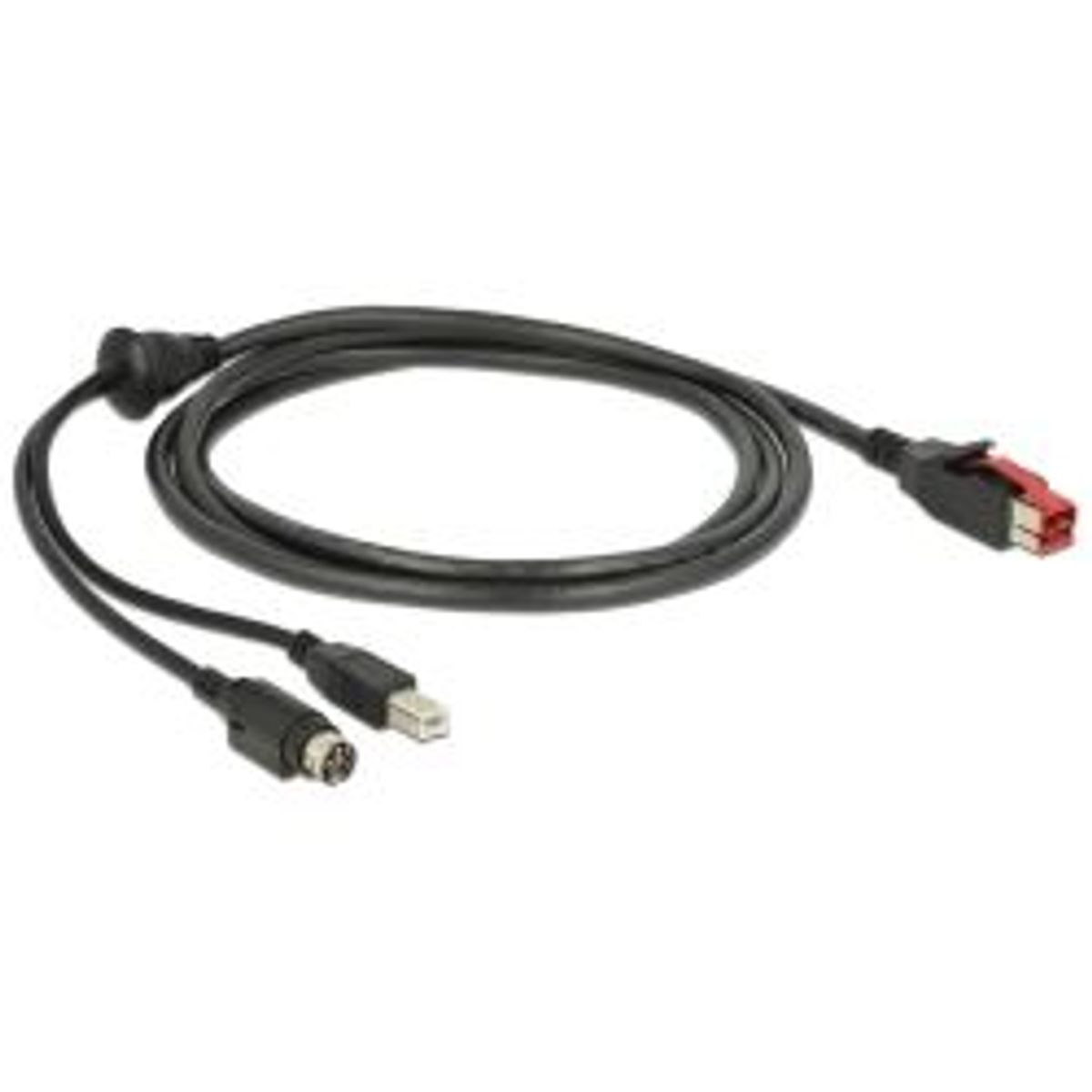 Delock Poweredusb Cable 24 V> Usb Typeb + Hosiden Minidin 3pin - Ledning