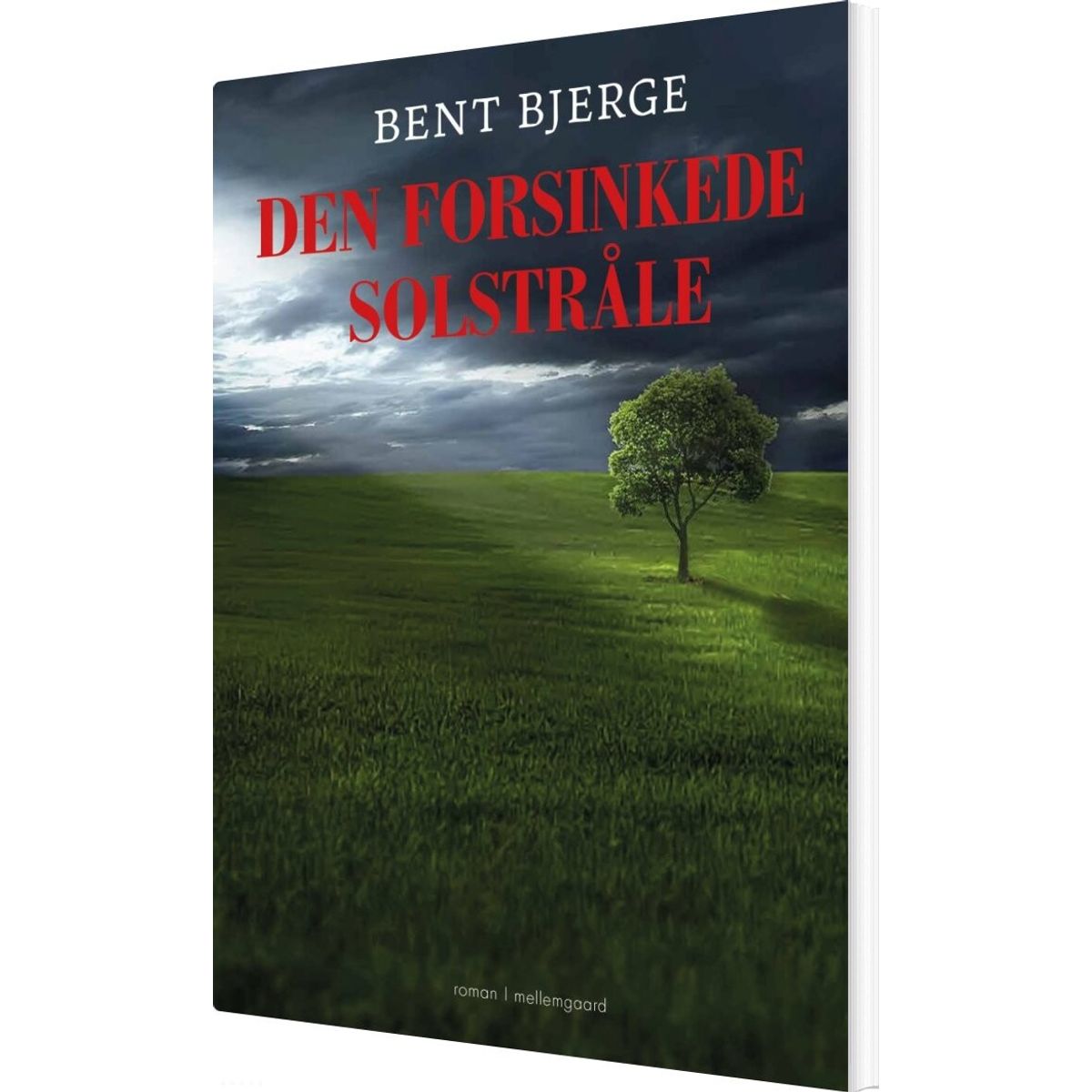 Den Forsinkede Solstråle - Bent Bjerge - Bog