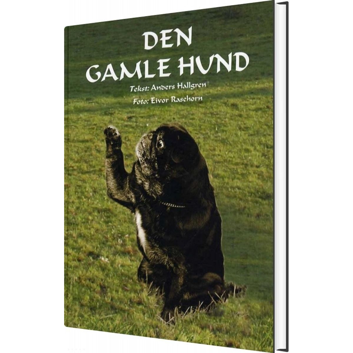 Den Gamle Hund - Anders Hallgren - Bog