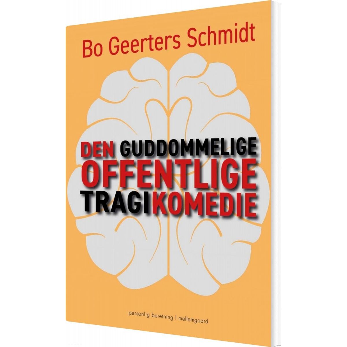 Den Guddommelige Offentlige Tragikomedie - Bo Geerters Schmidt - Bog