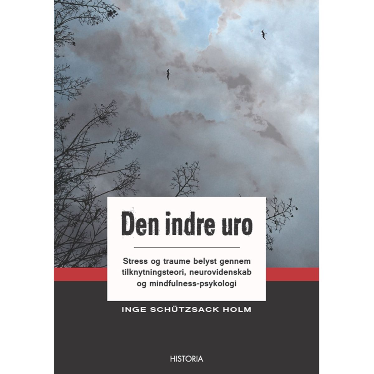 Den indre uro