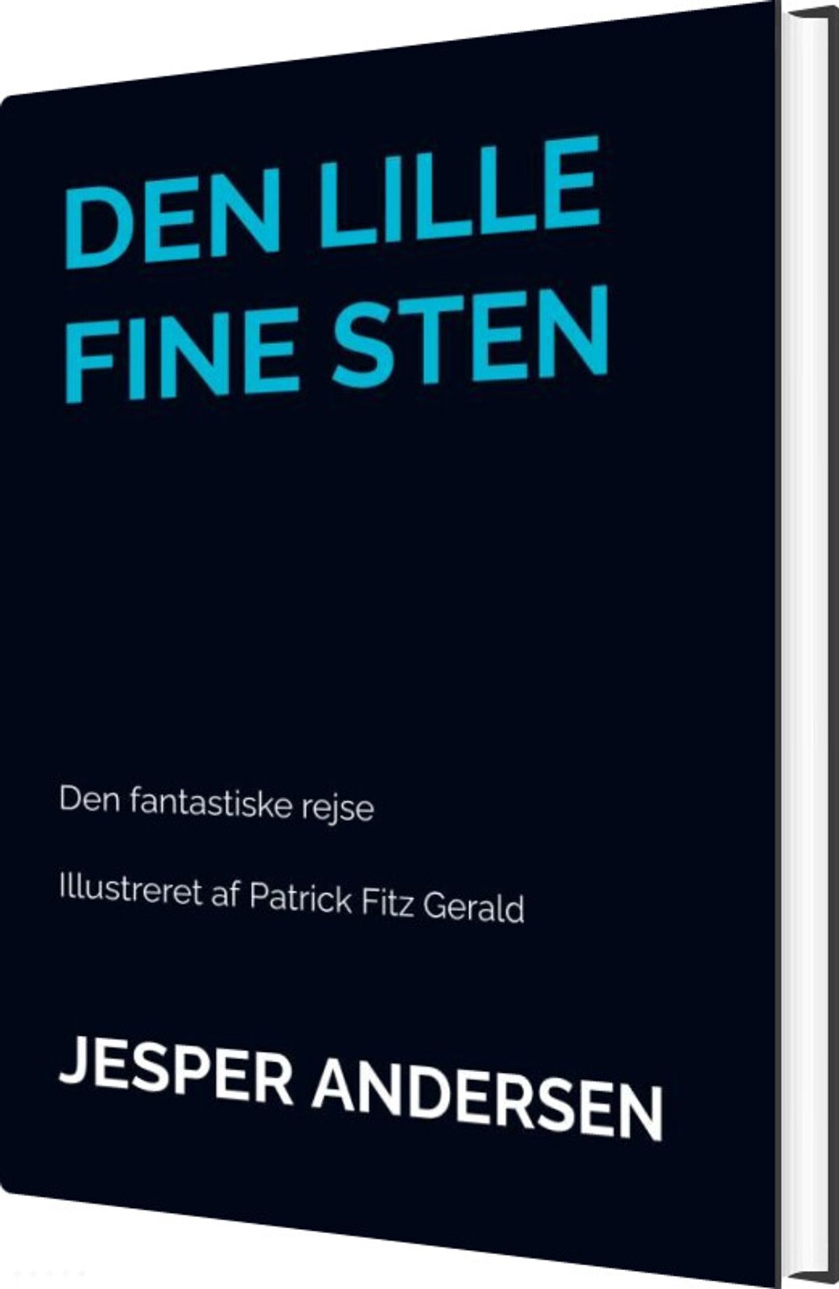 Den Lille Fine Sten - Jesper Andersen - Bog