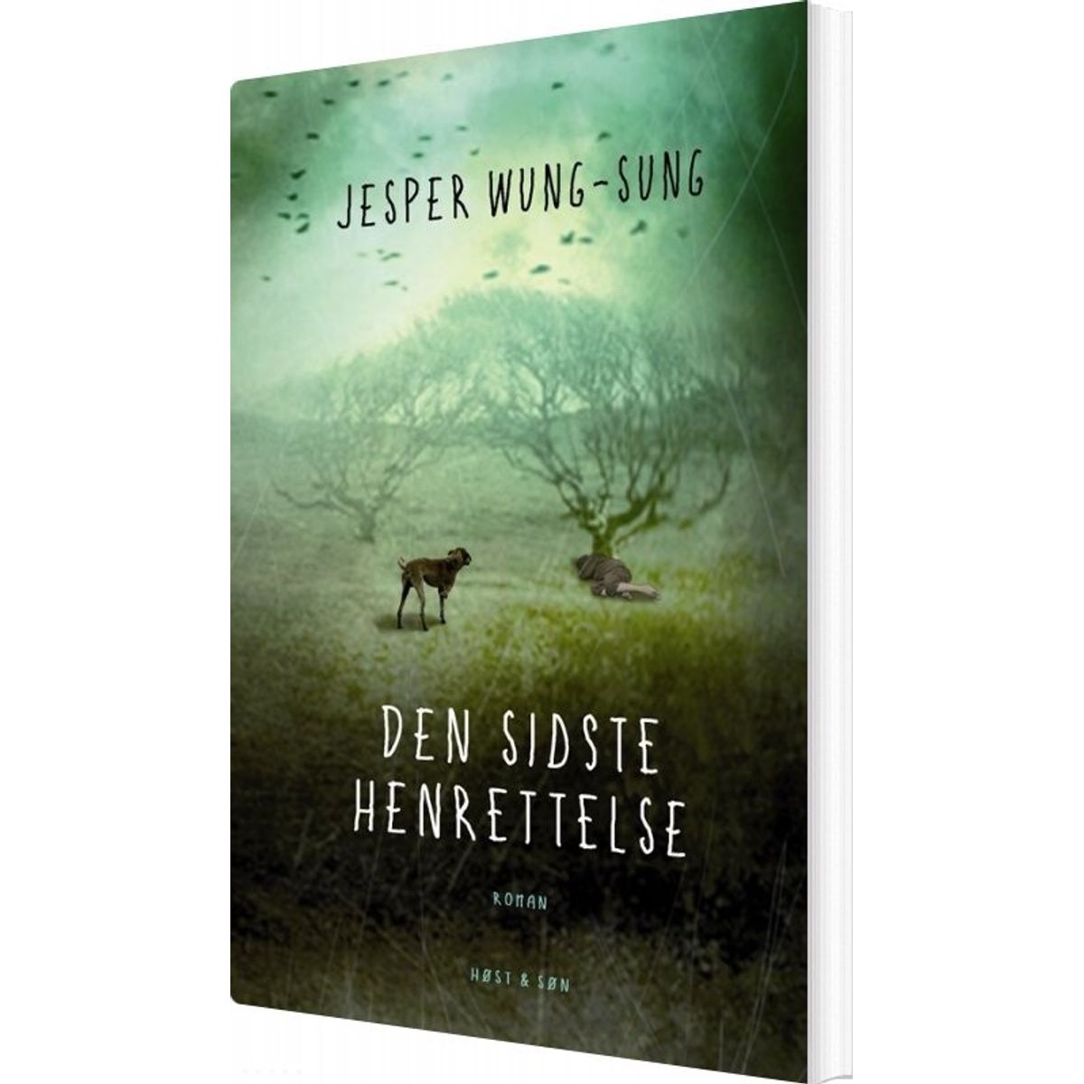 Den Sidste Henrettelse - Jesper Wung-sung - Bog