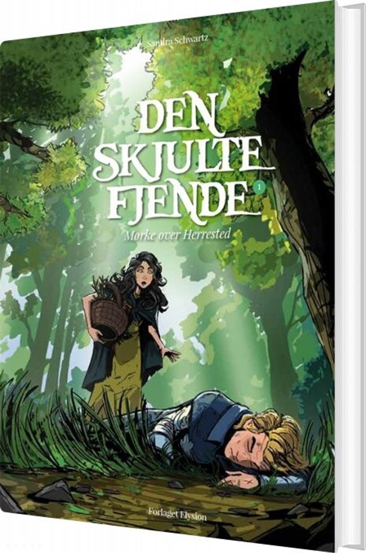 Den Skjulte Fjende - Sandra Schwartz - Bog