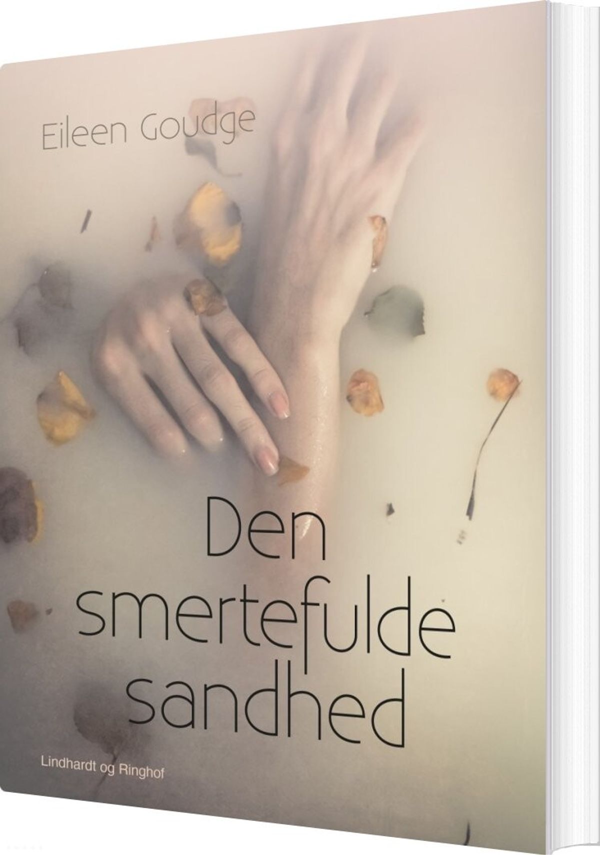 Den Smertefulde Sandhed - Eileen Goudge - Bog