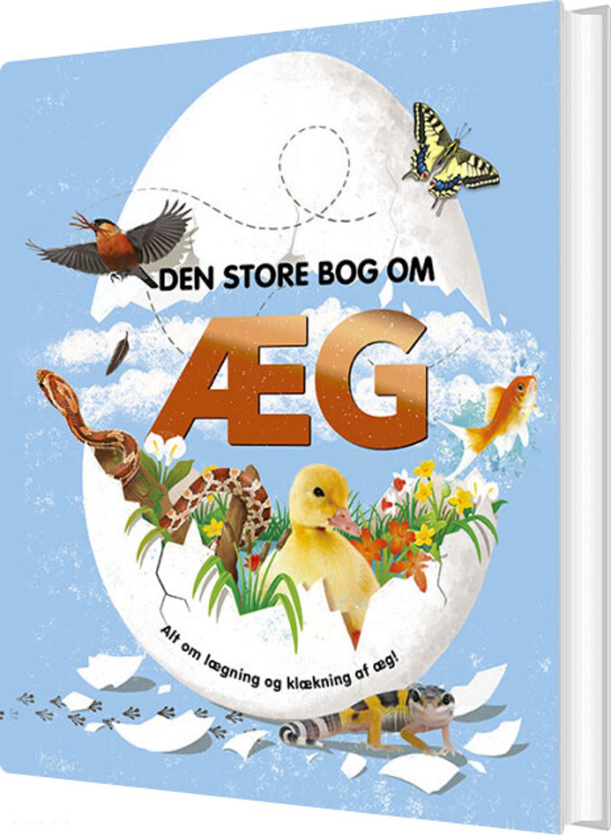 Den Store Bog Om æg - Diverse - Bog