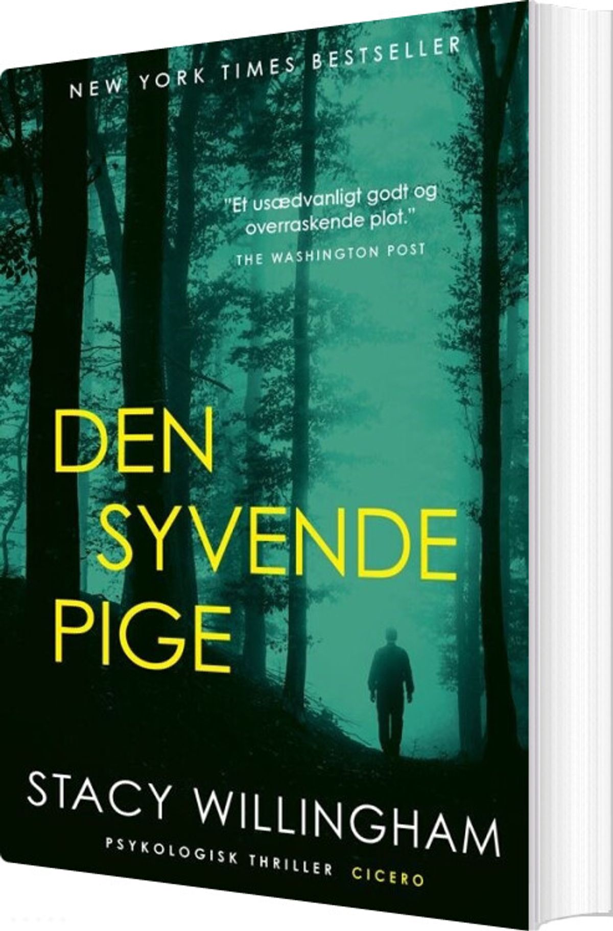 Den Syvende Pige - Stacy Willingham - Bog