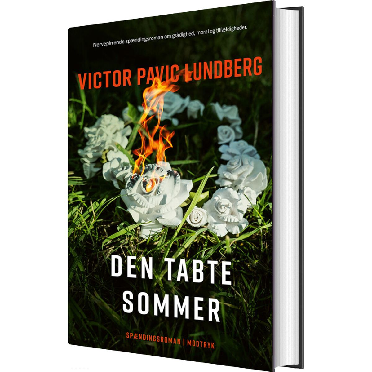 Den Tabte Sommer - Victor Pavic Lundberg - Bog