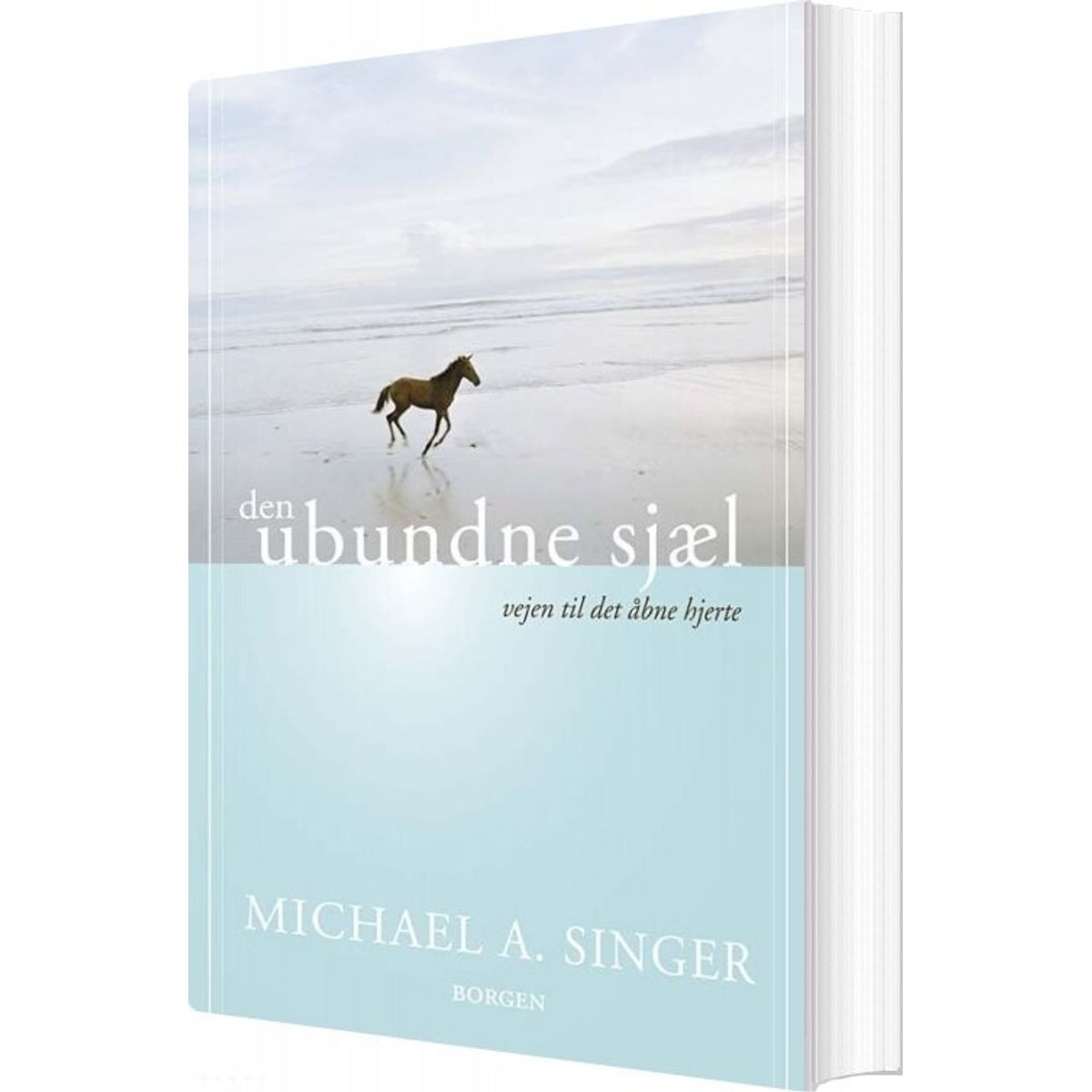 Den Ubundne Sjæl - Michael A. Singer - Bog