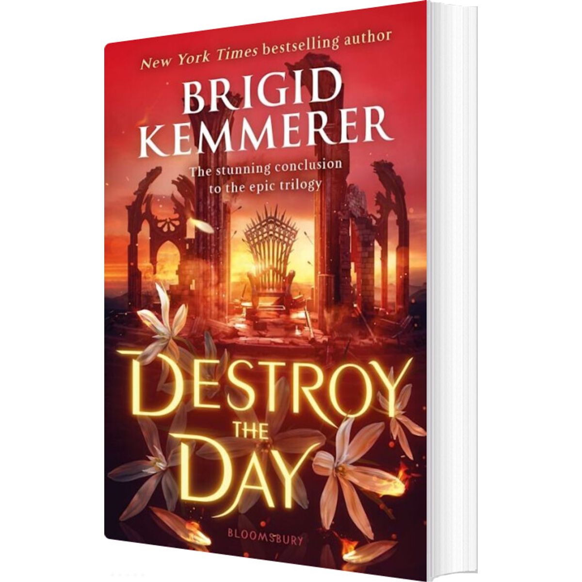 Destroy The Day - Brigid Kemmerer - English Book