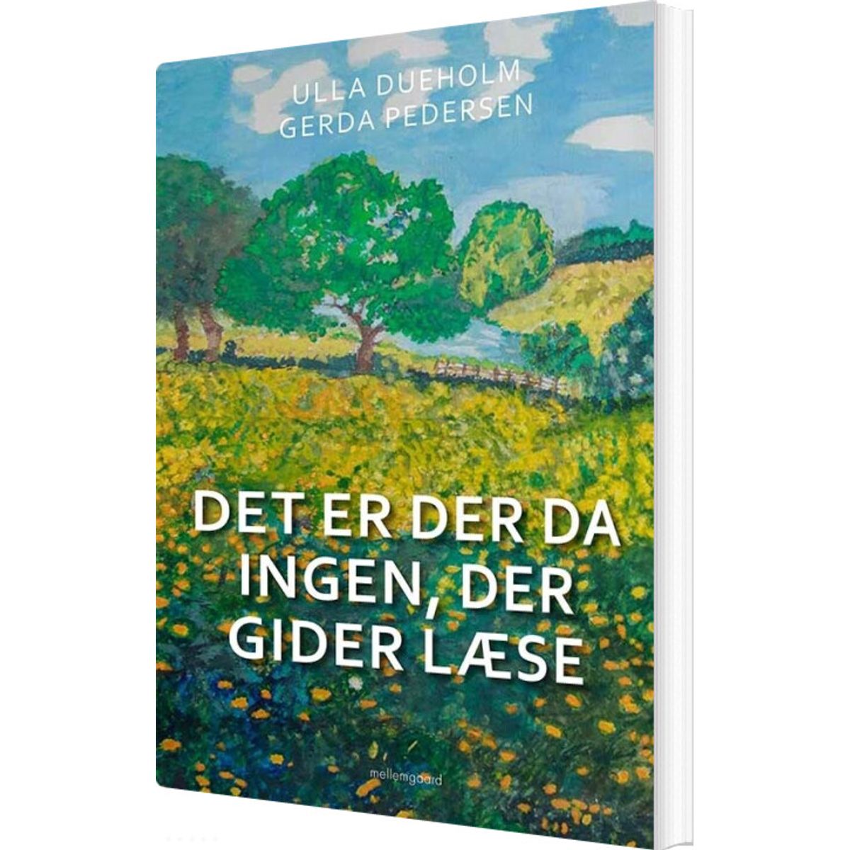 Det Er Der Da Ingen, Der Gider Læse - Ulla Dueholm - Bog