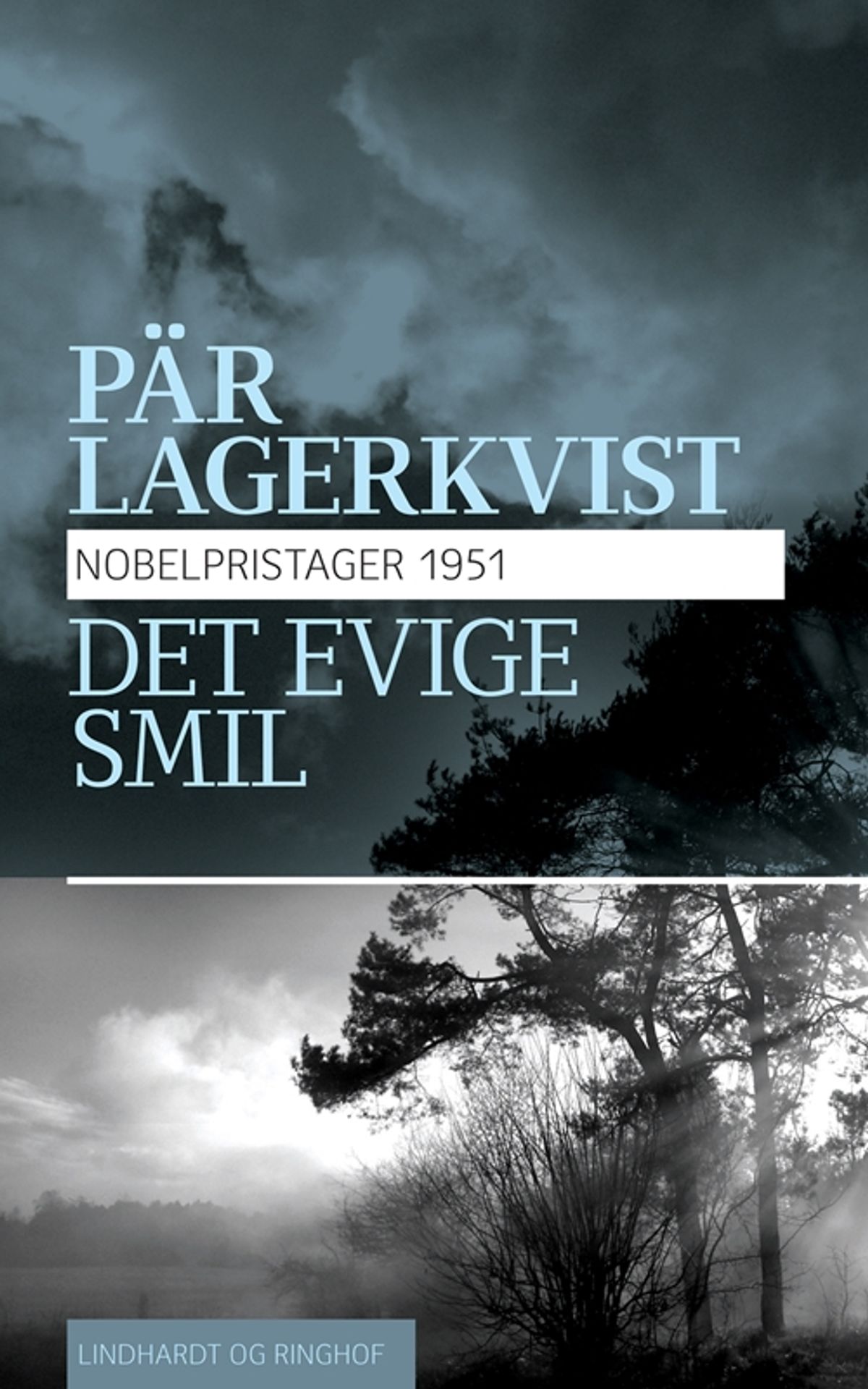 Det evige smil