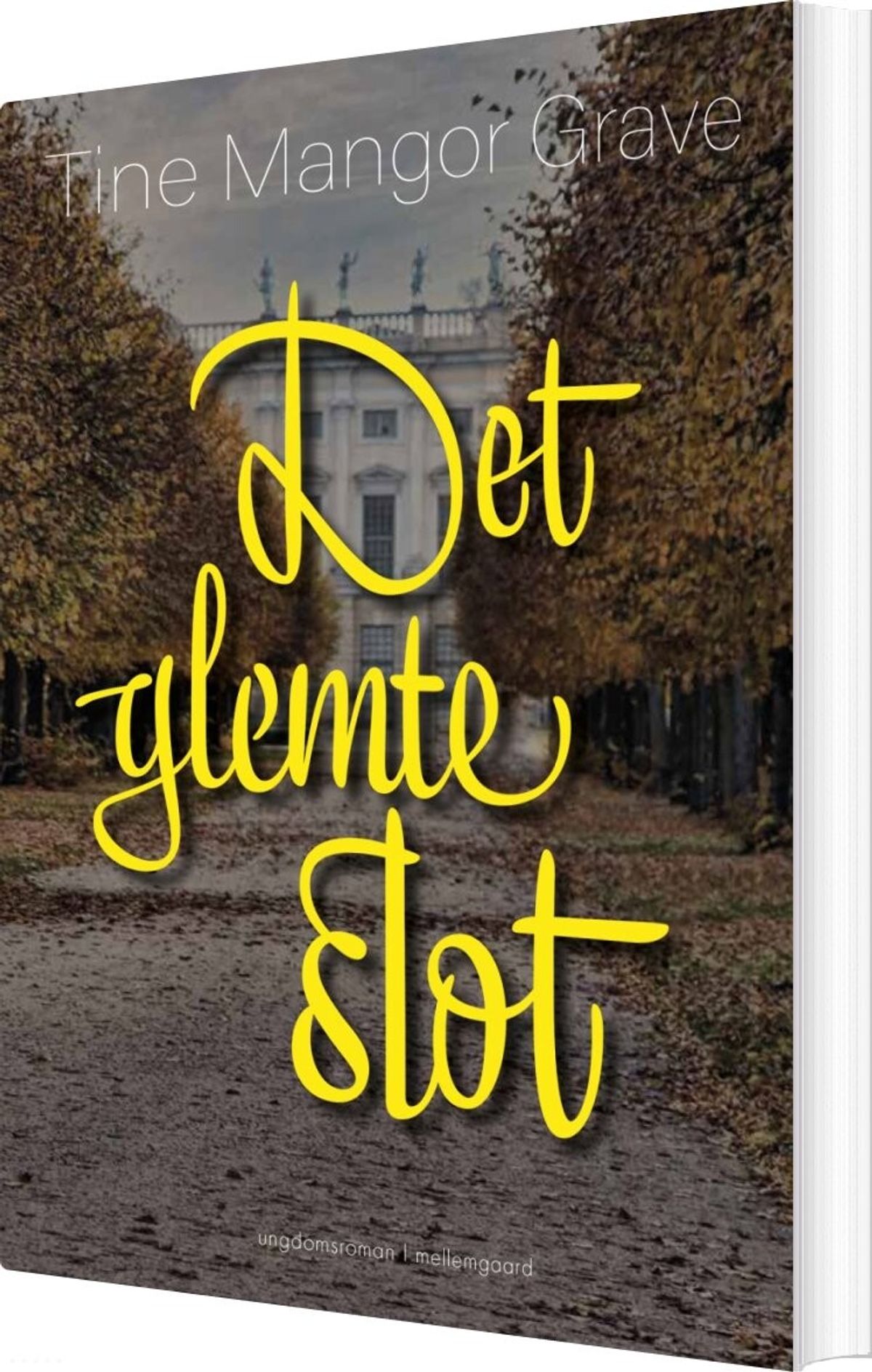 Det Glemte Slot - Tine Mangor Grave - Bog