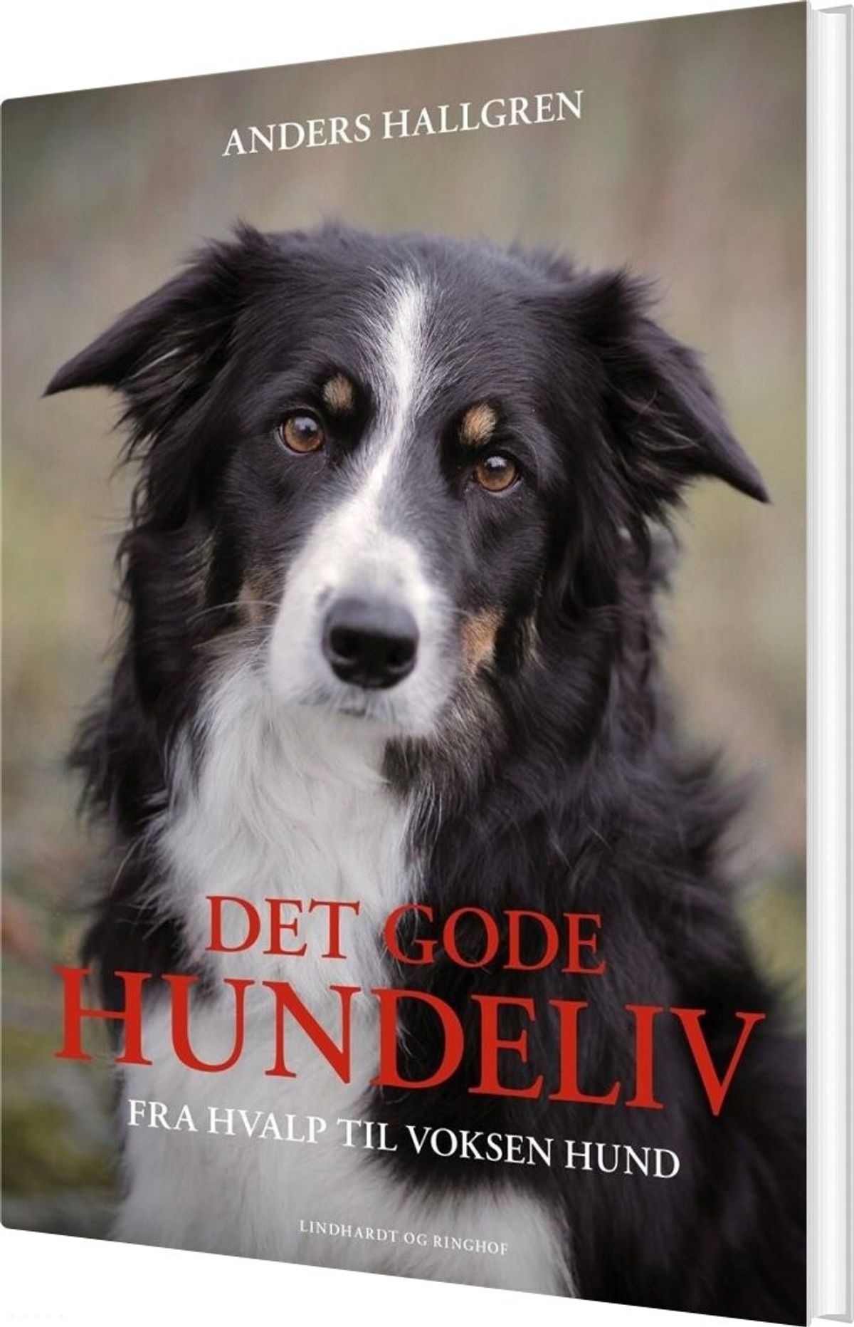 Det Gode Hundeliv - Anders Hallgren - Bog