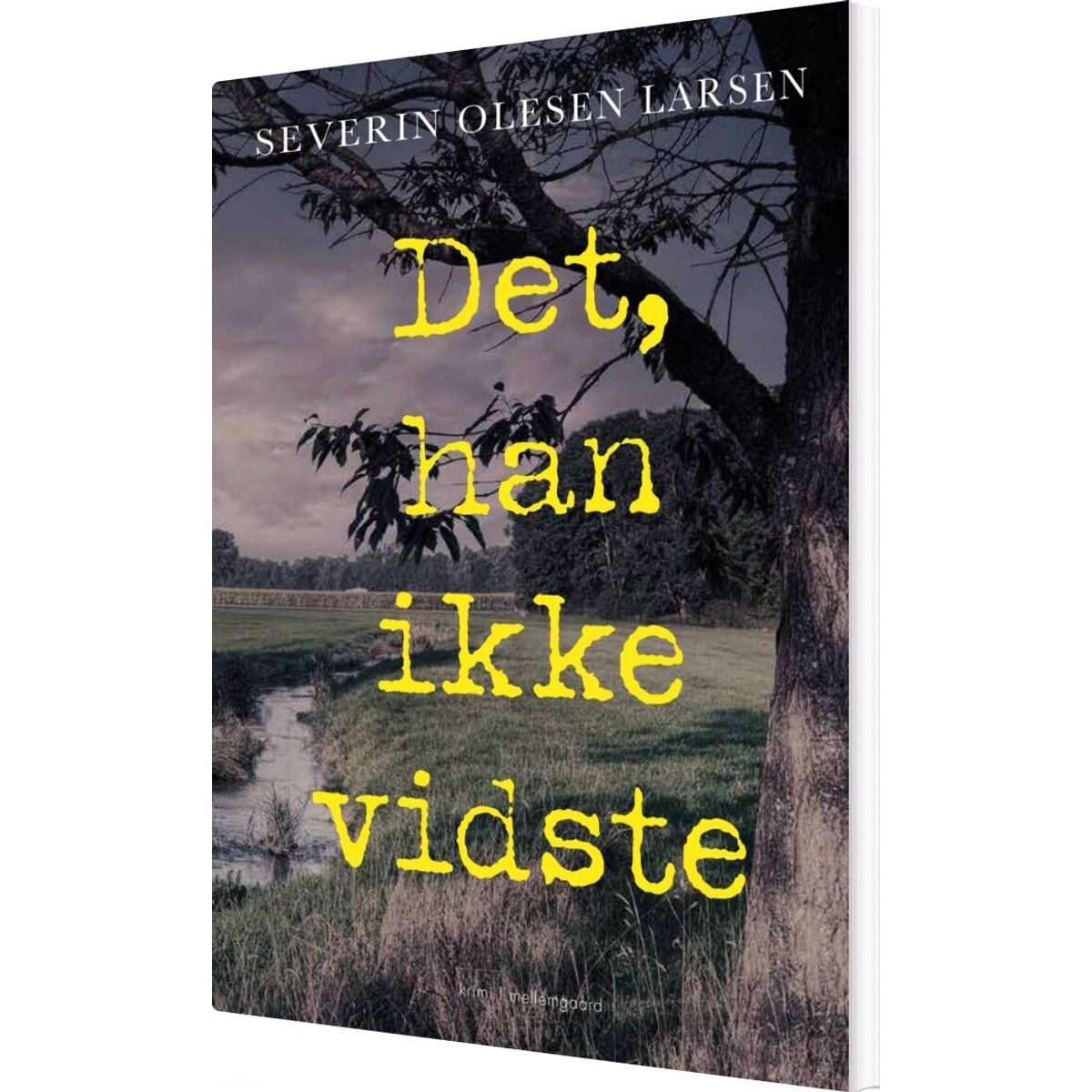 Det, Han Ikke Vidste - Severin Olesen Larsen - Bog