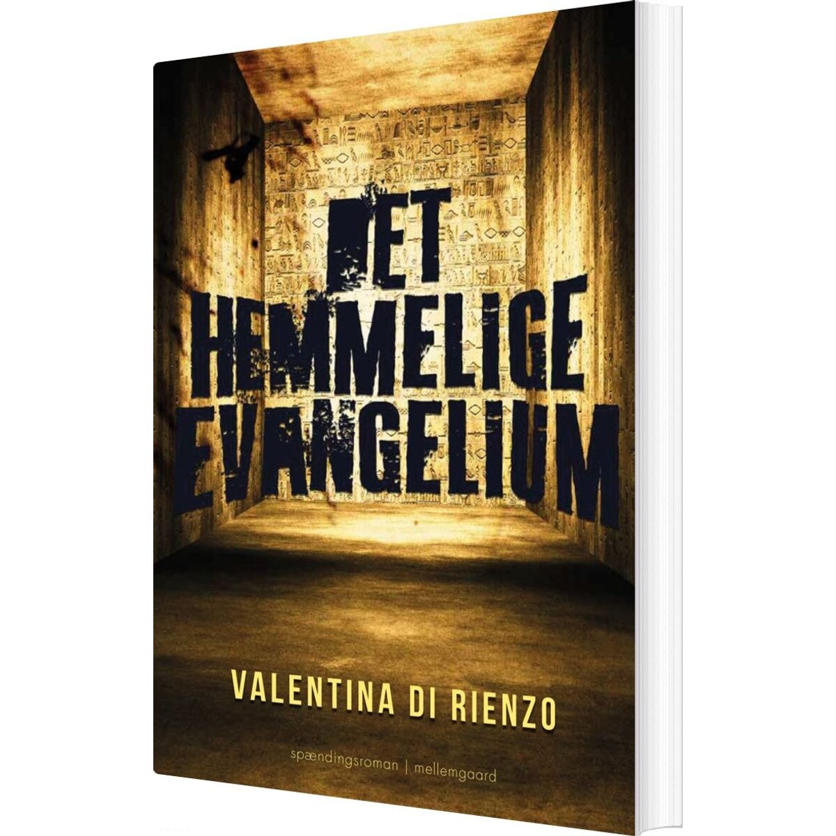 Det Hemmelige Evangelium - Valentina Di Rienzo - Bog