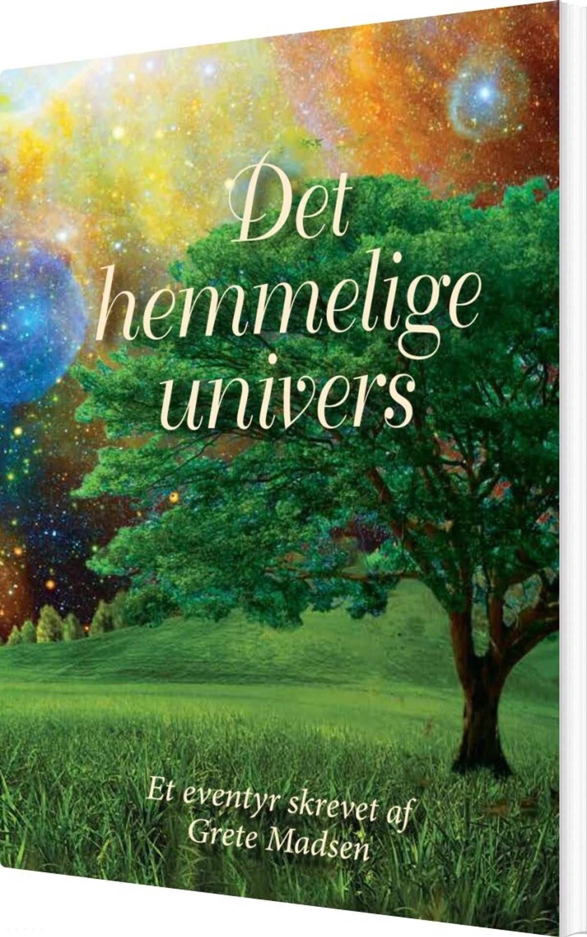 Det Hemmelige Univers - Grete Madsen - Bog