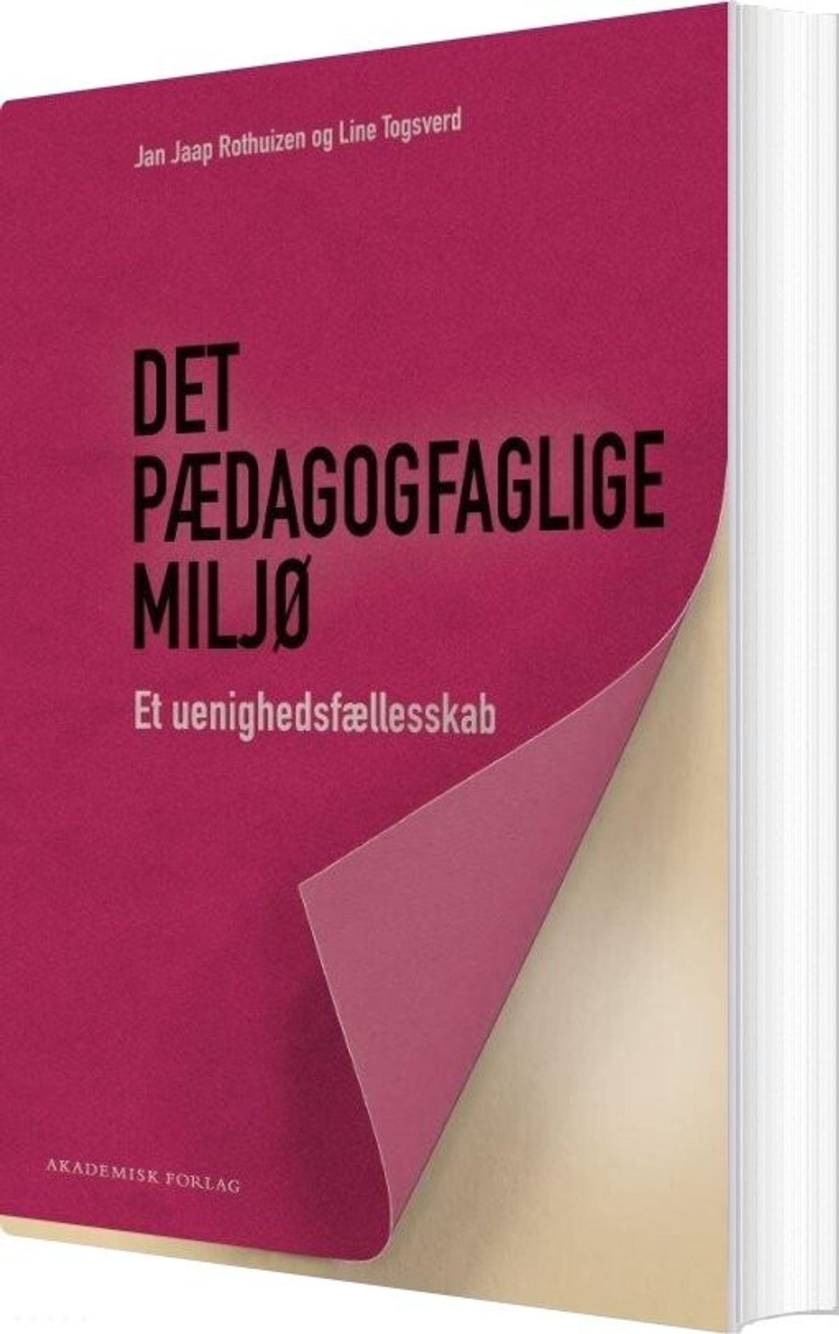 Det Pædagogfaglige Miljø - Jan Jaap Rothuizen - Bog