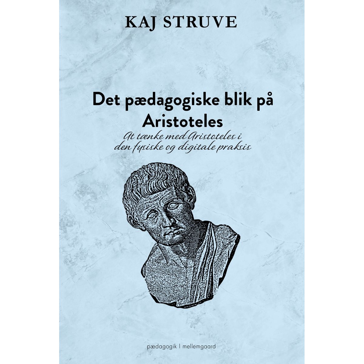 Det pædagogiske blik på Aristoteles