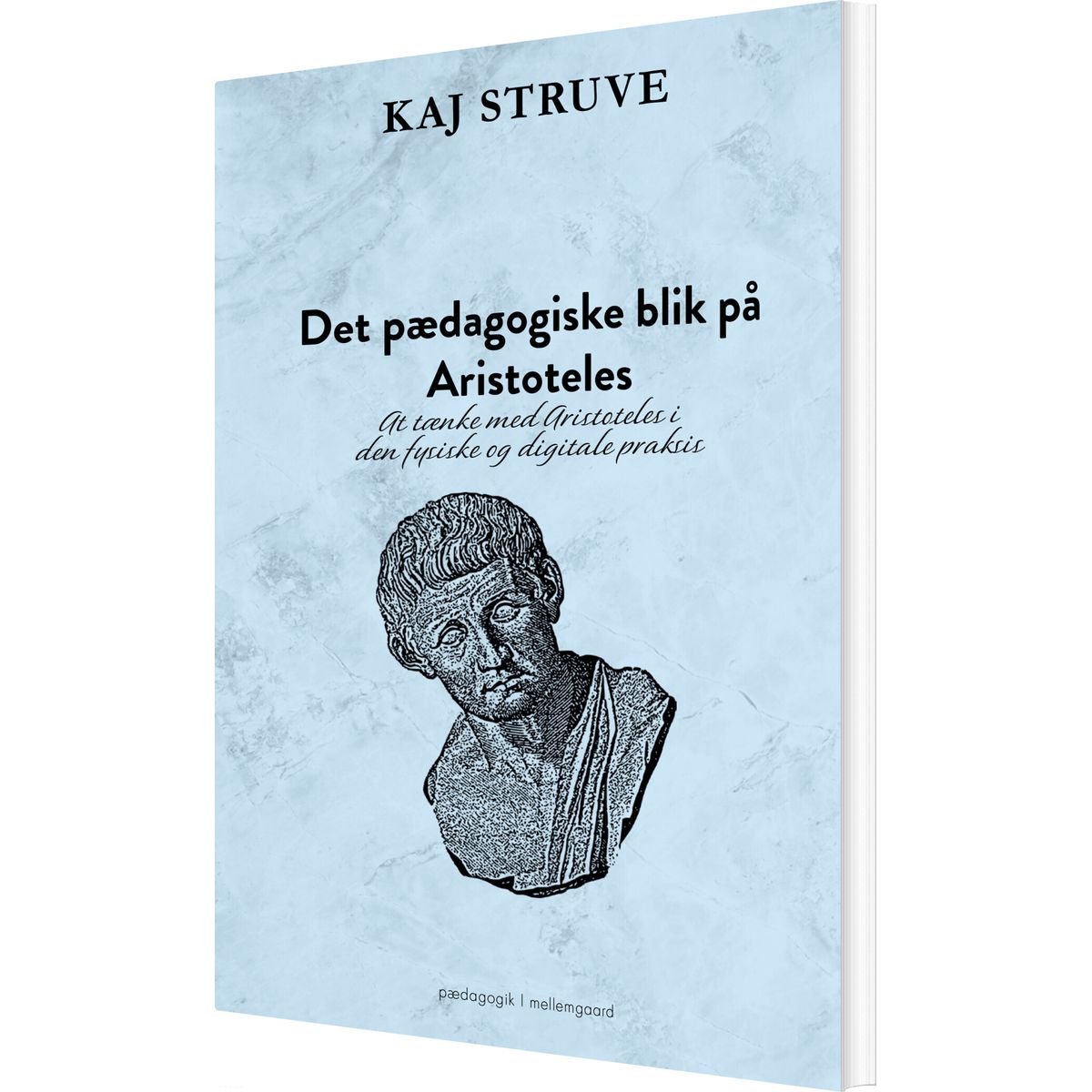 Det Pædagogiske Blik På Aristoteles - Kaj Struve - Bog