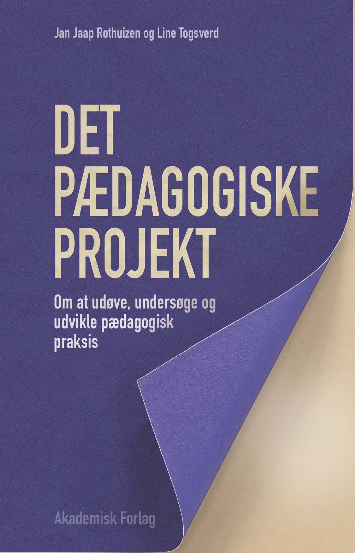 Det pædagogiske projekt