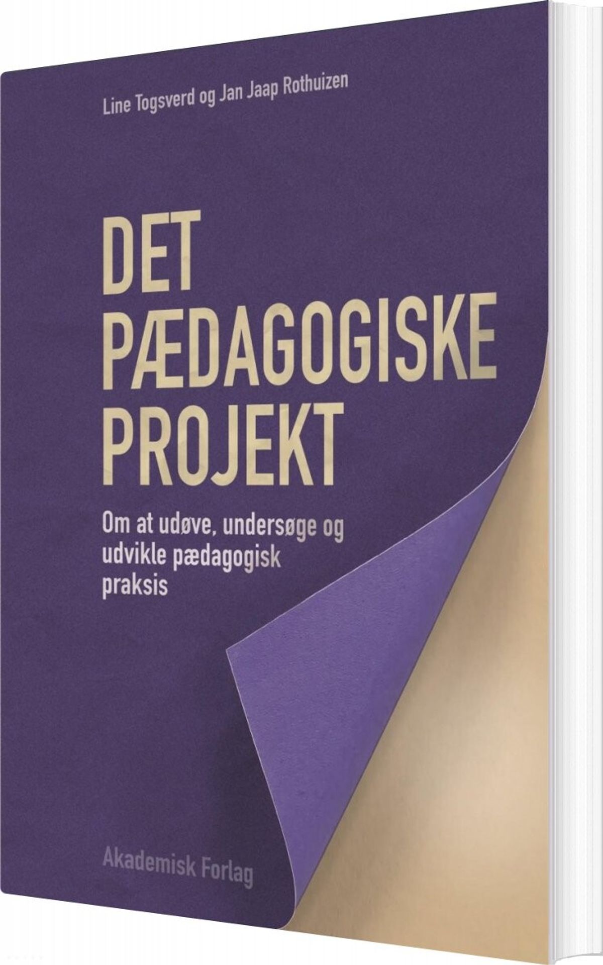 Det Pædagogiske Projekt - Jan Jaap Rothuizen - Bog