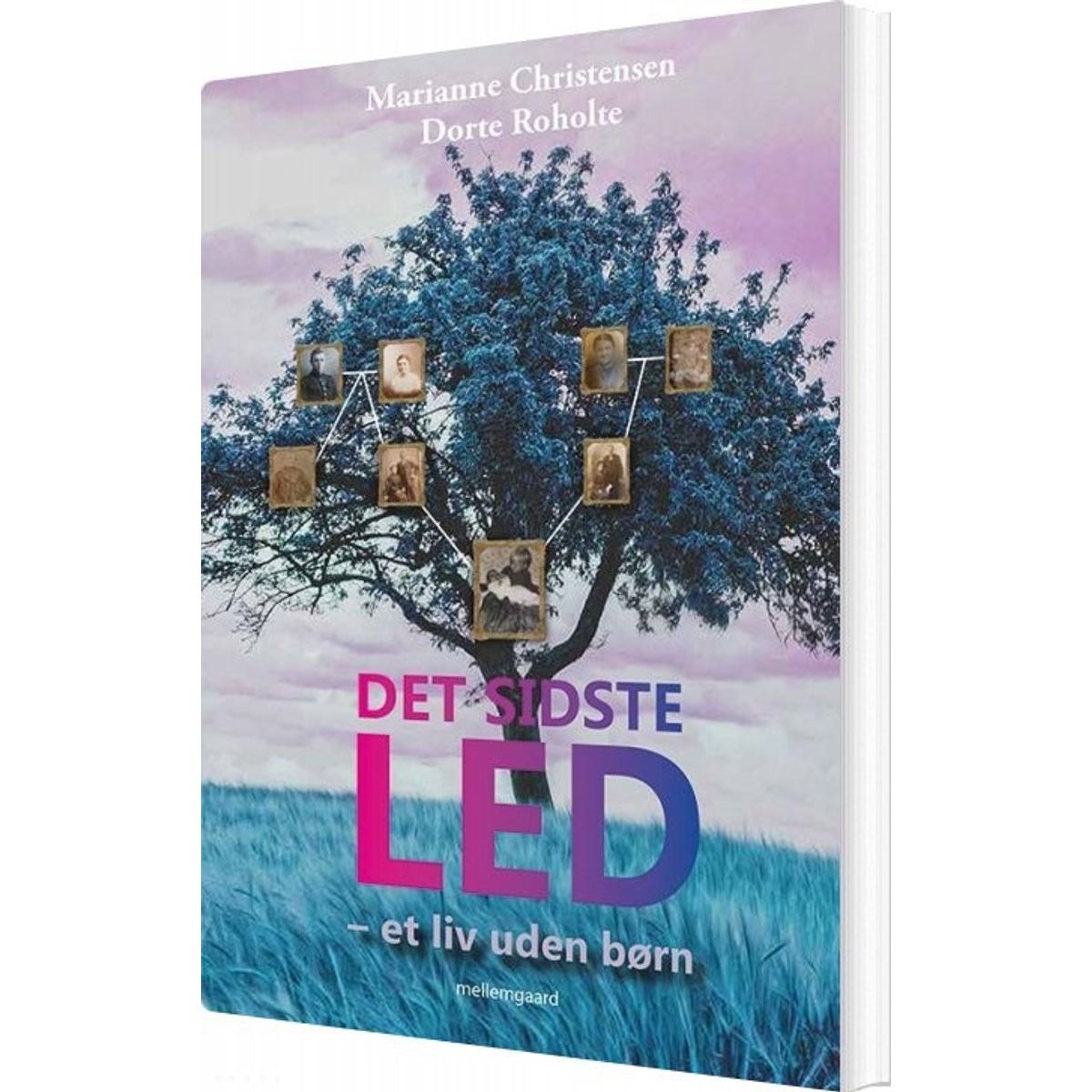 Det Sidste Led - Dorte Roholte - Bog