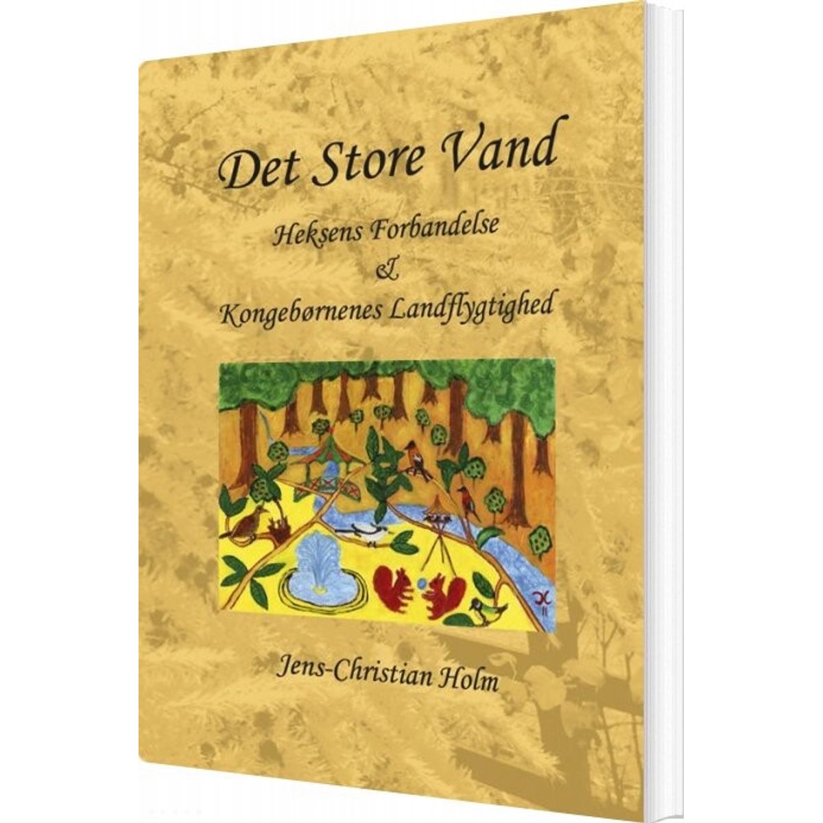 Det Store Vand - Jens-christian Holm - Bog